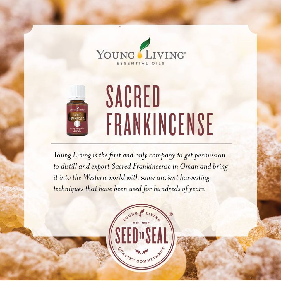 神聖乳香精油 Sacred frankincense-與神聖連結的頻率