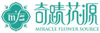 奇蹟花源 部落格