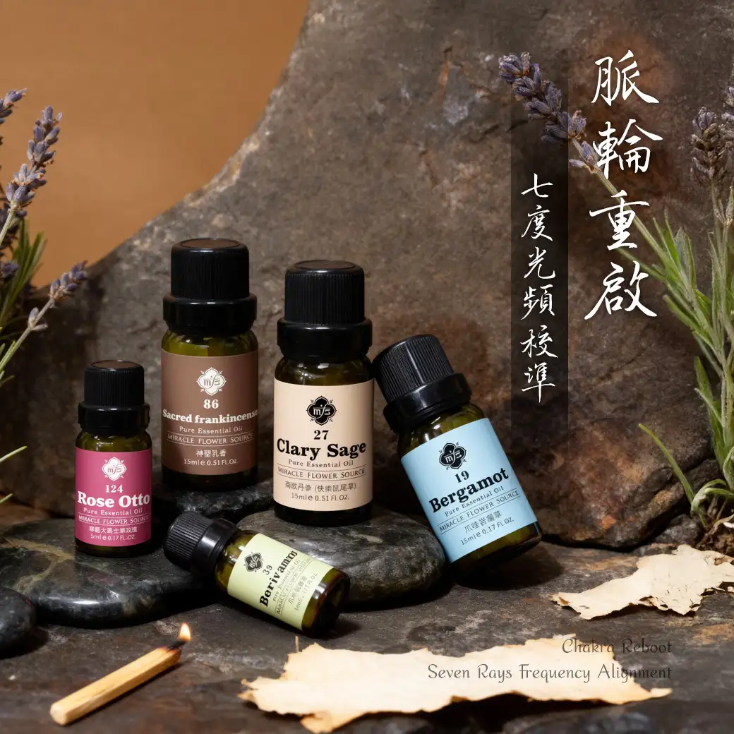 從能量分段到頻率共振：七脈輪重新合一的升頻攻略